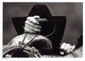 Image of Cowboy Mounting (#181, print #3)