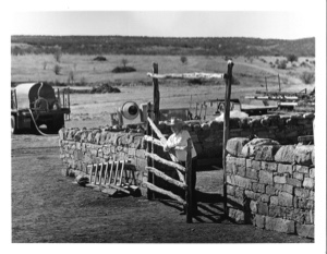 Image of Watt Matthews Standing at Sheep Shed Gate