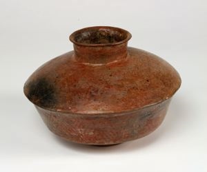 Image of Carinated Vessel