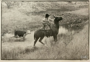 Image of Billy Gilbreath at Lambshead Ranch