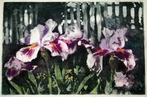 Image of Untitled (irises by picket fence)