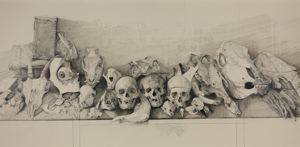 Image of Skulls