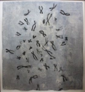 Image of Untitled (Gene Pools)