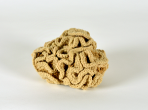 Image of Yarn Brain Replica