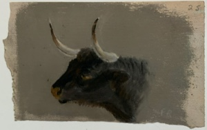 Image of Untitled [head of cow w/ horns]