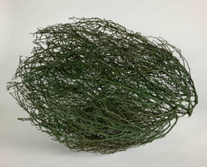 Image of Tumbleweed