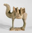 Image of Standing Bactrian camel