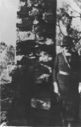 Image of Sallie Reynolds Matthews at Stone Ranch Ruins