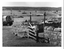 Image of Watt Matthews Standing at Sheep Shed Gate