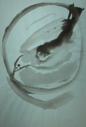 Image of Bird Spirit Within