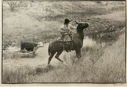 Image of Billy Gilbreath at Lambshead Ranch