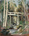 Image of Bridge in the Bush