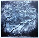 Image of Branches in Snow (a.k.a. Trees in the Snow in rectangle format)