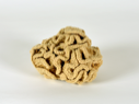 Image of Yarn Brain Replica