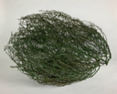 Image of Tumbleweed